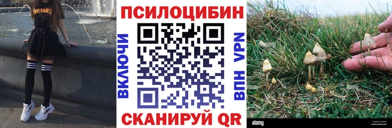Галлюциногенные грибы прущие грибы  наркошоп  Весьегонск 