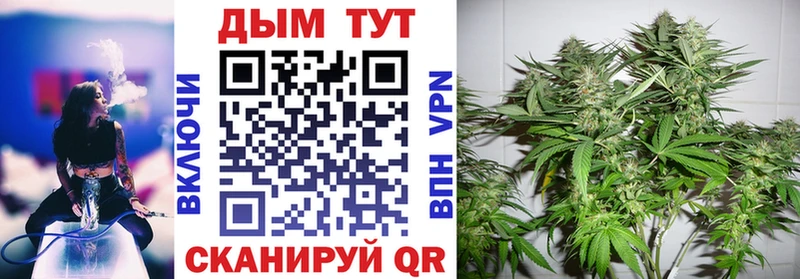 Бошки Шишки THC 21%  Весьегонск 